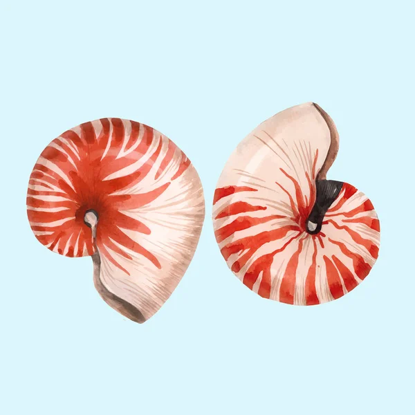 WaterColor Sea Life Nautilus Shell vektor set — Stock vektor