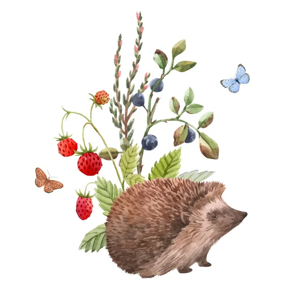 Watercolor hedgehog vetor ilustração —  Vetores de Stock