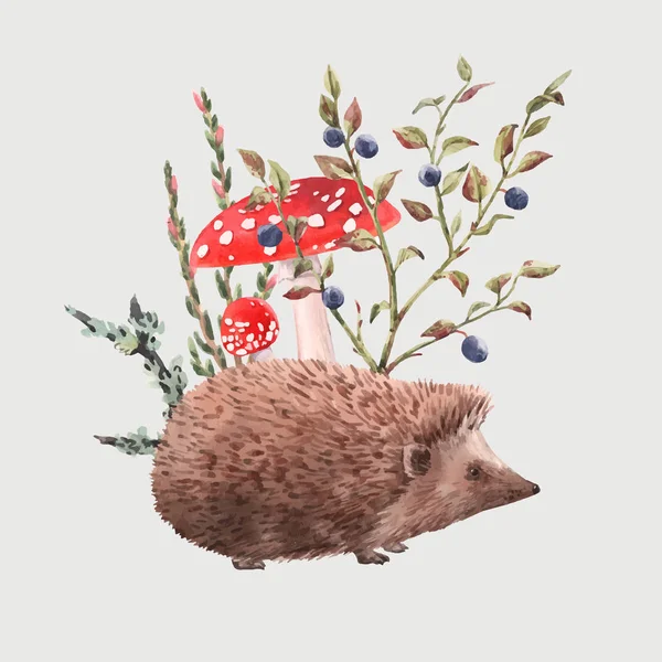 Watercolor hedgehog vector illustration — Stock Vector