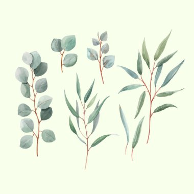 Watercolor australian vector leaves