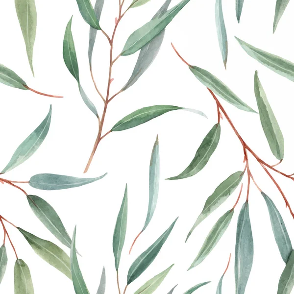 Acuarela patrón vectorial floral australiano — Vector de stock