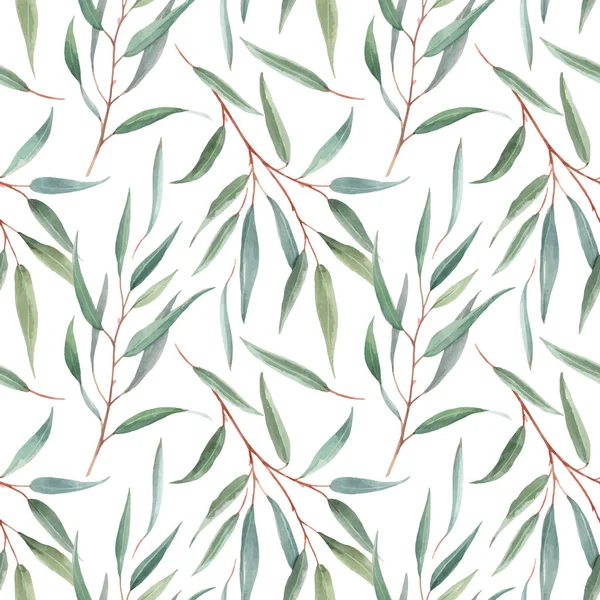 Watercolor australian floral vector pattern — Stock Vector