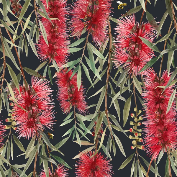 Watercolor australian callistemon seamless pattern — Stock Vector