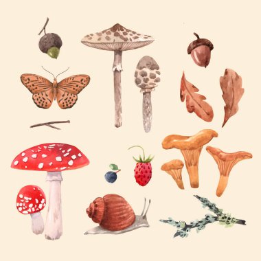 Suluboya orman vektörü belirlendi