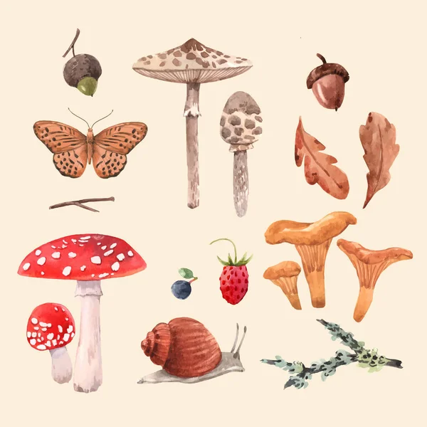 Suluboya orman vektörü belirlendi