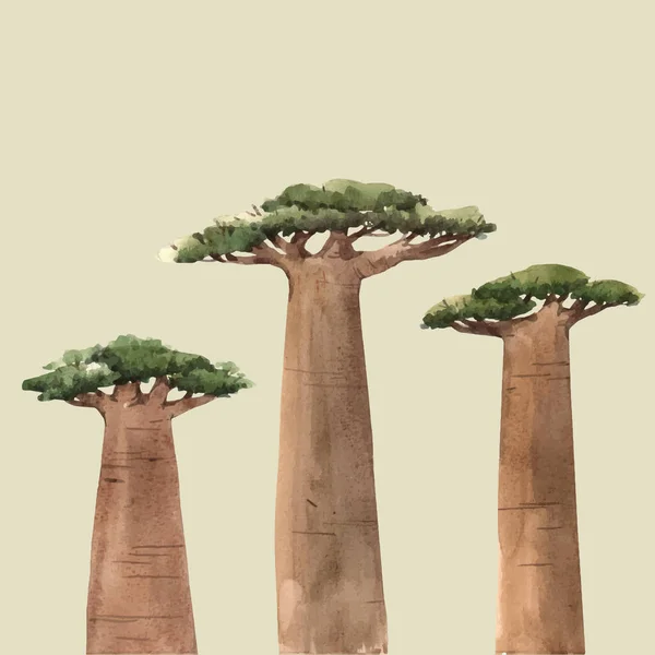 Vetor aquarela baobab adansonia ilustrações de árvores africanas — Vetor de Stock