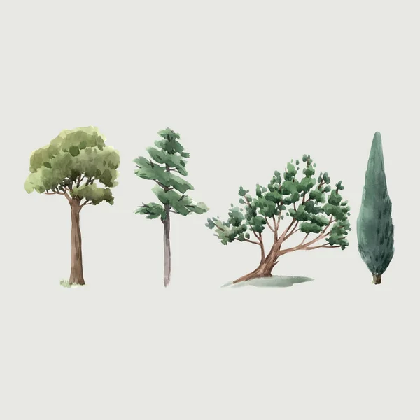 Vetor aquarela árvore floresta carvalho abeto vidoeiro, thuja linden baobab pinheiro ilustrações isoladas — Vetor de Stock