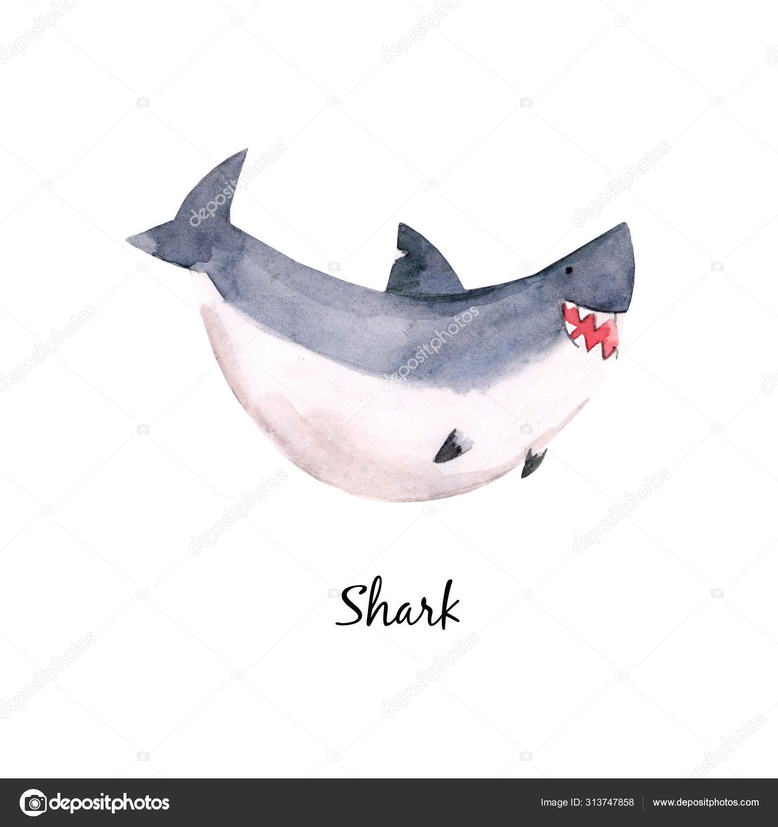 Cute Watercolor Baby Shark Illustration For Children Print Stock Photo Image By C Zeninaasya Cute Watercolor Baby Shark Illustration For Children Print Stock Photo Image By C Zeninaasya