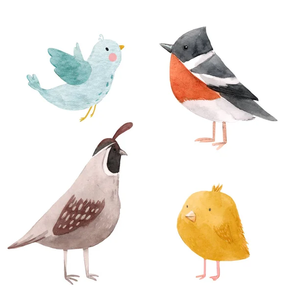Cute watercolor bird illustration set for children print — Stock Photo, Image