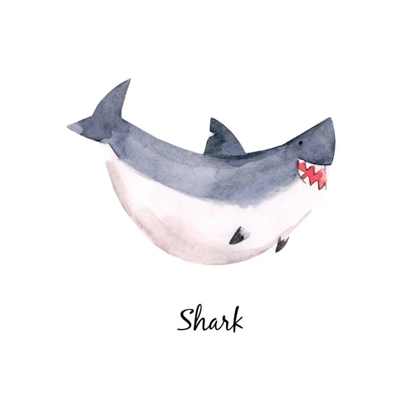 Cute watercolor baby shark illustration for children print — Stock Photo, Image