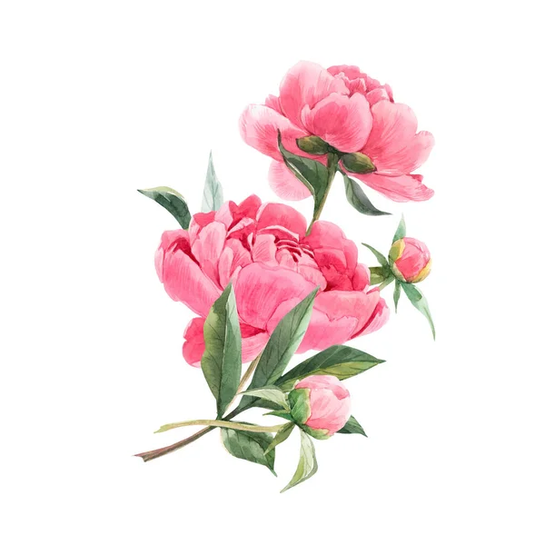 Piękny bukiet kwiatowy kompozycja z akwarelowym różowym kwiatem piwonii. Ilustracja — Zdjęcie stockowe