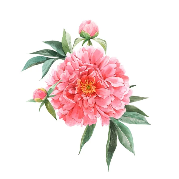 Mooie bloemige boeket compositie met aquarel roze pioenroos bloemen. Voorraadillustratie — Stockfoto