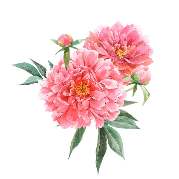 Gyönyörű virágcsokor összetétele akvarell rózsaszín bazsarózsa virágok. Készletillusztráció — Stock Fotó
