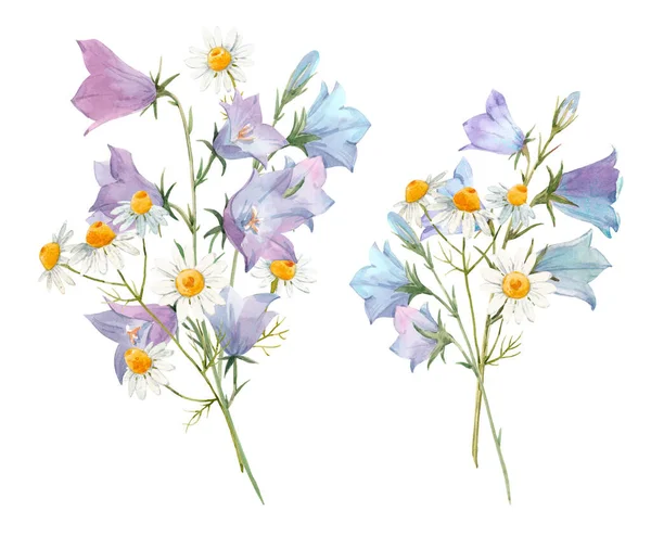 Mooie set met aquarel zachte zomer bluebell en kamille bloemen boeketten. Voorraadillustratie. — Stockfoto