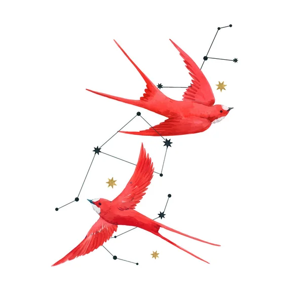 Beautiful vector composition with two watercolor red swallow birds and stars. Stock illustration. — Stock Vector