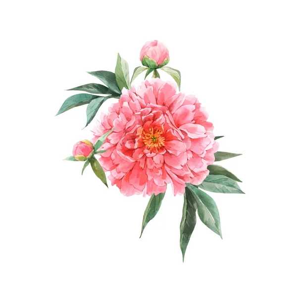Состав цветочного букета с акварельными розовыми соцветиями пиона. Иллюстрация — стоковый вектор