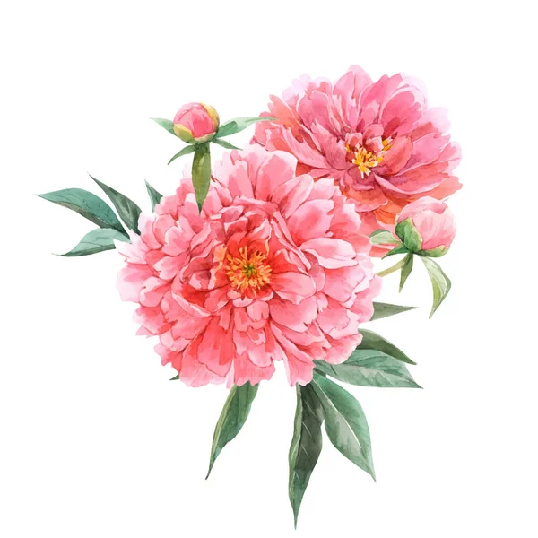 Beautiful vector floral bouquet composition with watercolor pink peony flowers. Stock illustration — Stock Vector