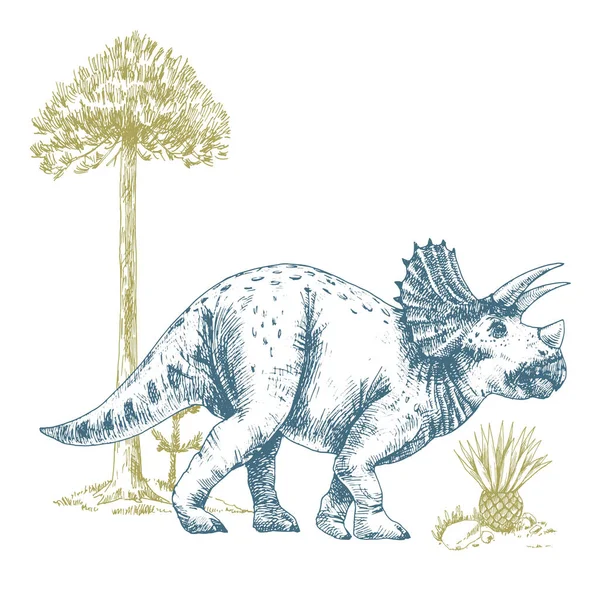 Bella composizione con simpatiche illustrazioni di dinosauri Triceratops vettoriale. — Vettoriale Stock