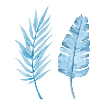 Tropik yapraklarla suluboya güzel bir görüntü. Stok illüstrasyonu