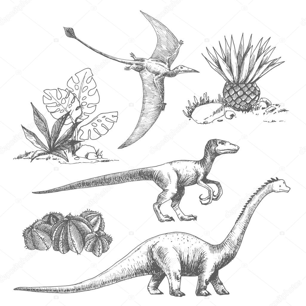 Beautiful set with cute vector dinosaur illustrations.