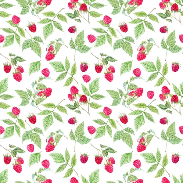 水彩ラズベリーと葉と美しいベクトルシームレスパターン。ストックイラスト. — ストックベクタ