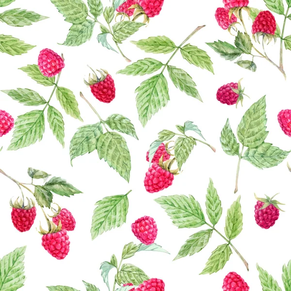 stock vector Beautiful vector seamless pattern with watercolor raspberry and leaves. Stock illustration.