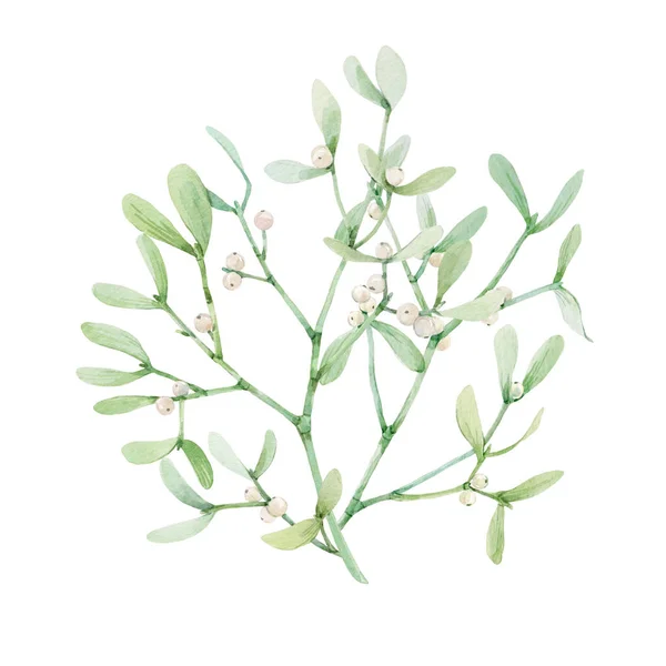 Beautiful image with watercolor mistletoe plant. Stock illustraqtion. — Stock Photo, Image