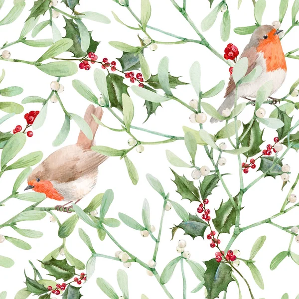 Gyönyörű zökkenőmentes minta akvarell fagyöngy növény levelek robin madarak. Készletillusztráció. — Stock Fotó