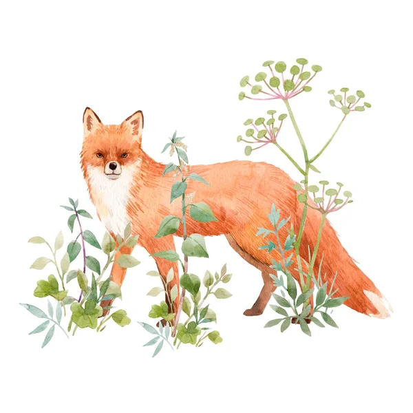 Beautiful floral composition with watercolor cute fox and field flowers. Stock illuistration. — Stock Photo, Image