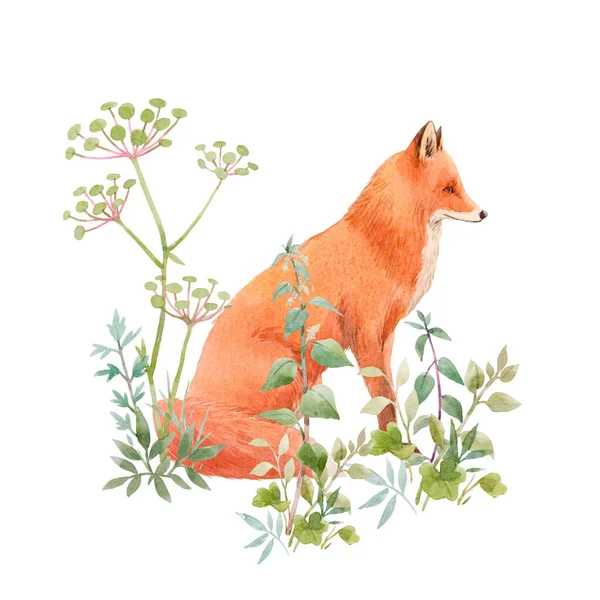 Mooie bloemige compositie met aquarel schattige vos en veldbloemen. Voorraadillusie. — Stockfoto