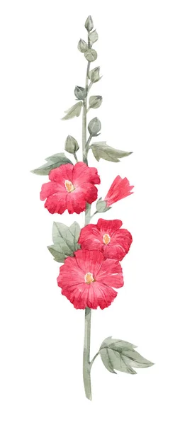 Krásný obraz s akvarelem léto červená sladová malba květin. Stock illustration. — Stock fotografie