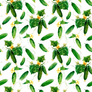 Suluboya yaz salatalıkları olan güzel, dikişsiz sebze deseni. Stok illüstrasyonu.