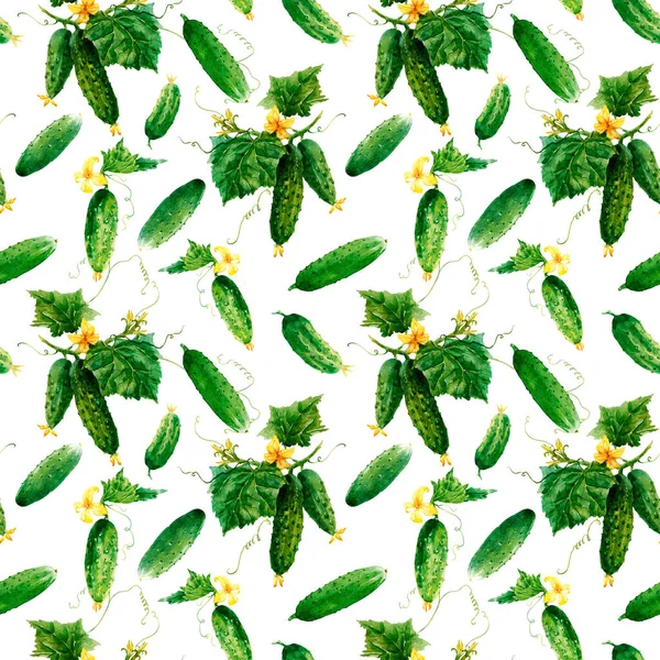 Prachtige naadloze groente patroon met aquarel zomer komkommers. Voorraadillustratie. — Stockfoto