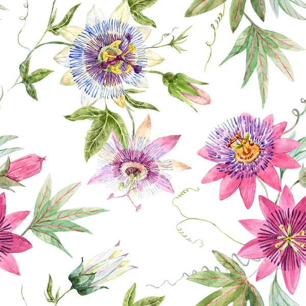 Beau motif floral sans couture avec des fleurs de passiflore d'été aquarelle. Illustration de stock. — Photo