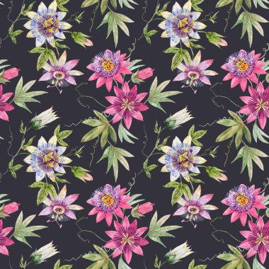 Elle çizilmiş suluboya tutku çiçekleri ile kusursuz çiçek deseni. Stok illüstrasyonu.