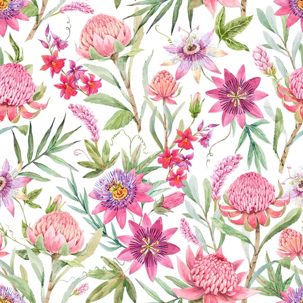 Belo padrão floral sem costura com aquarela verão passionflower e waratah protea flores. Ilustração das existências. — Fotografia de Stock
