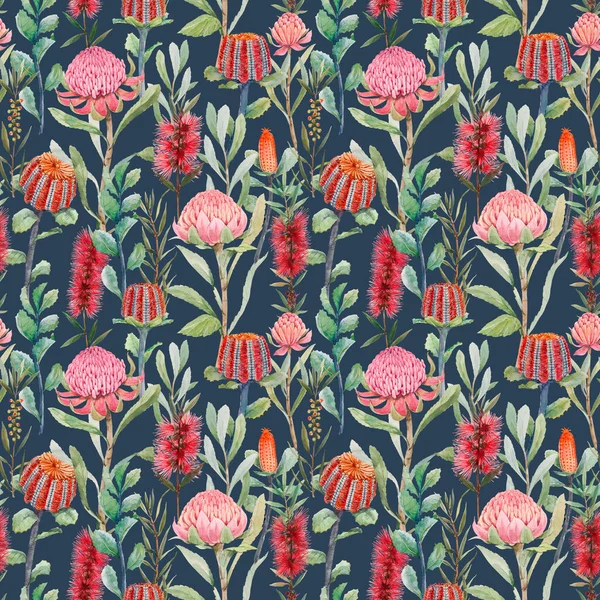 Бесцветный цветочный узор с акварельными летними протеями и цветами "Банксия". Иллюстрация. — стоковое фото