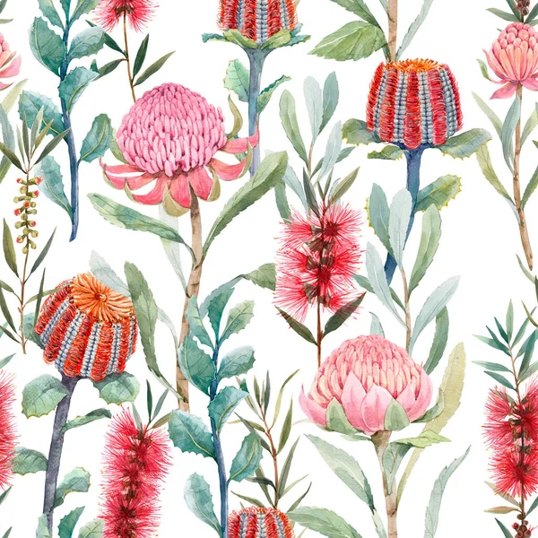 Bellissimo motivo floreale senza cuciture con acquerello protea estate e fiori di banksia australiana. Illustrazione delle scorte. — Foto Stock