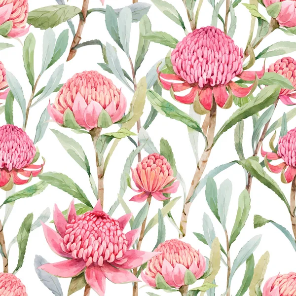 Hermoso vector patrón floral sin costuras con flores de protea de verano acuarela. Ilustración general. — Vector de stock