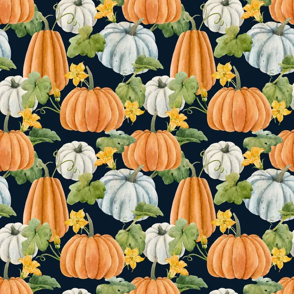水彩カボチャの野菜、葉や花と美しい秋のシームレスなパターン。ストックイラスト. — ストック写真