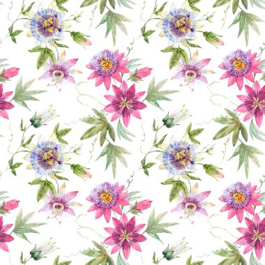 Güzel vektörsüz çiçek deseni ve suluboya yaz çiçekleri. Stok illüstrasyonu.