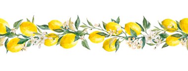 Sulu sarı limon meyveleri, yapraklar ve çiçeklerle güzel, yatay, pürüzsüz bir desen. Stok çizimleri,.