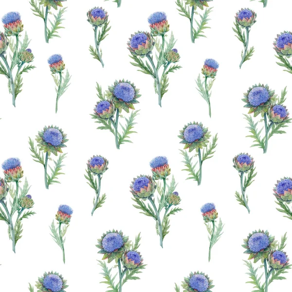 Bellissimo motivo floreale senza cuciture con acquerello delicato fiori di carciofo blu fioritura. Illustrazione delle scorte. — Foto Stock