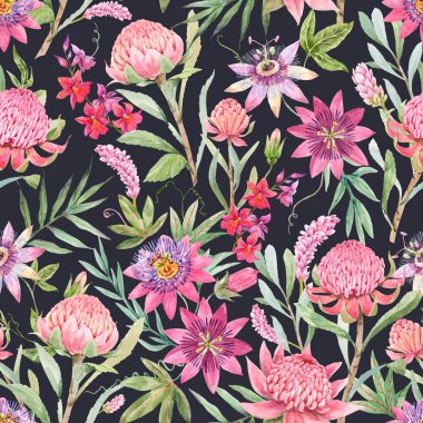 Güzel vektörsüz çiçek deseni, suluboya yaz çiçeği ve waratah protea çiçekleri. Stok illüstrasyonu.