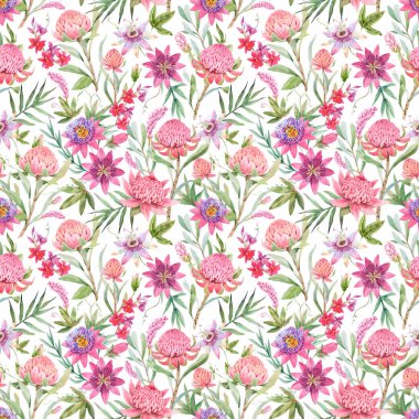 Güzel vektörsüz çiçek deseni, suluboya yaz çiçeği ve waratah protea çiçekleri. Stok illüstrasyonu.