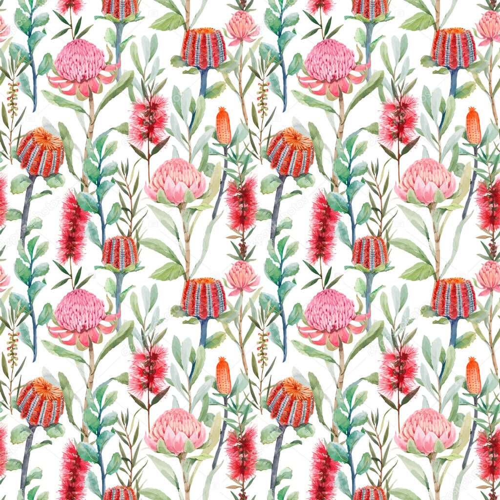 Beautiful vector seamless floral pattern with watercolor summer protea and australian banksia flowers. Stock illustration.