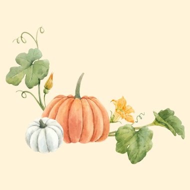 Suluboya balkabağı sebzeli güzel vektör çizimi.