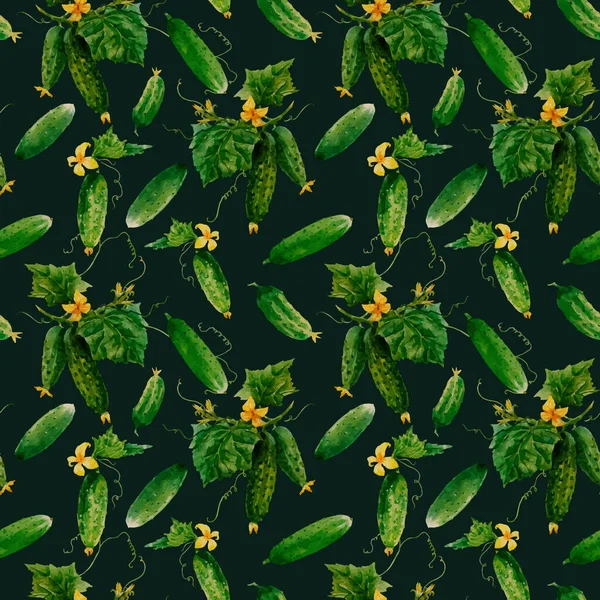 Belo vetor padrão vegetal sem costura com pepinos de verão aquarela. Ilustração das existências. —  Vetores de Stock