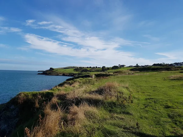 アイルランドの海岸とその緑の草 — ストック写真