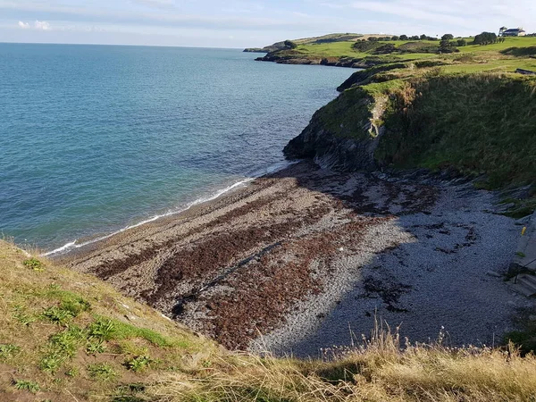 Pequena Enseada Mar Irlanda Com Muitas Algas — Fotografia de Stock